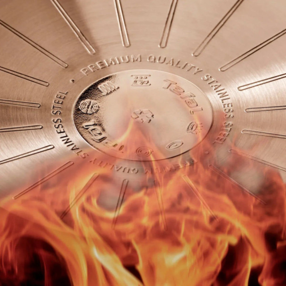 Сковорода Tefal Emotion+ 24см, чорний (E3270444)