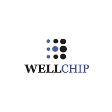 Чип для картриджа HP LJ CE505X/CF280X/CC364X, Canon 725/728, J35XU Wellchip (CHPJ35XU)
