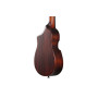 Укулеле Ibanez AUC14 OVL (234982)