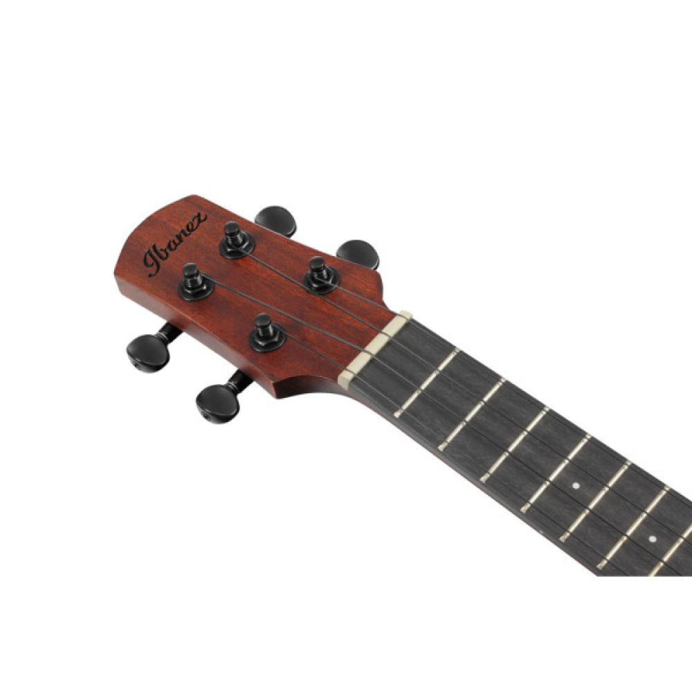 Укулеле Ibanez AUC14 OVL (234982)