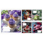 Зошит 1 вересня Bright Food А5 60 аркушів лінія (768137) Зошит 1 вересня Bright Food А5 60 аркушів лінія (768137)