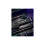Накопичувач SSD M.2 2280 4TB GM9000 Acer Predator (BL.9BWWR.131) Накопичувач SSD M.2 2280 4TB GM9000 Acer Predator (BL.9BWWR.131)