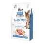 Сухий корм для кішок Brit Care Cat GF Large cats Power and Vitality 2 кг (8595602540914) Сухий корм для кішок Brit Care Cat GF Large cats Power and Vitality 2 кг (8595602540914)