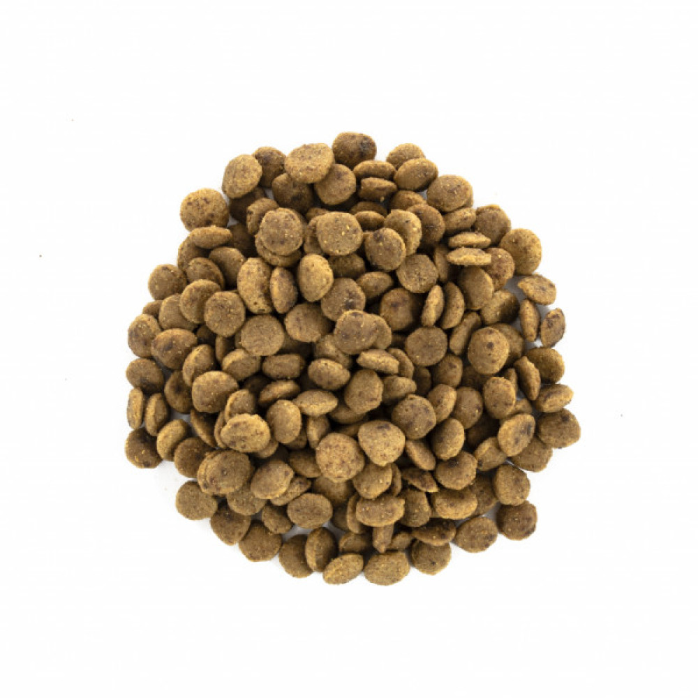 Сухий корм для кішок Brit Care Cat GF Large cats Power and Vitality 2 кг (8595602540914)