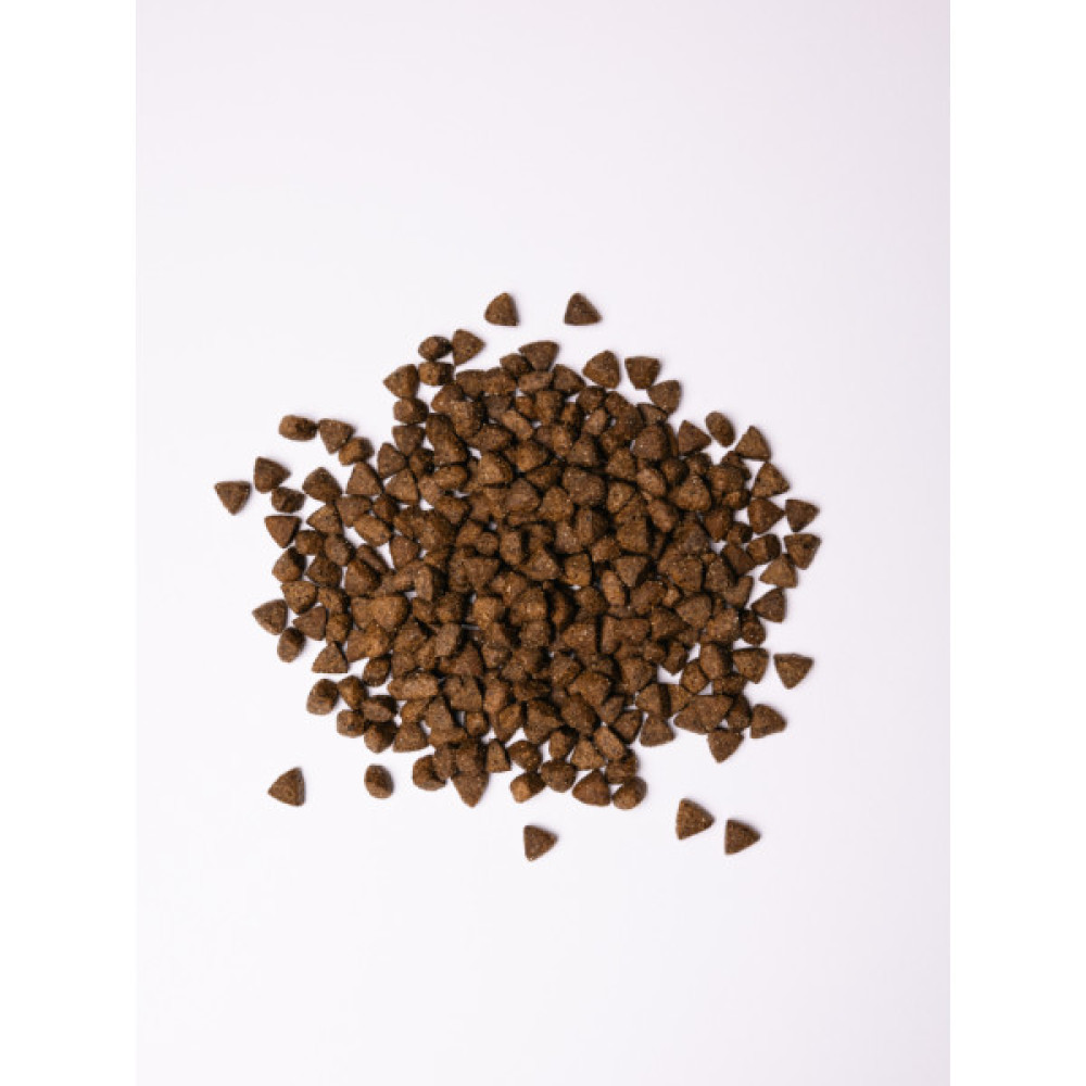 Сухий корм для собак Savory All Breed Sterilised rich in Fresh Turkey 12 кг (4820232631515)