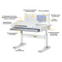 Парта ErgoKids Grey (TH-325 W/G) Парта ErgoKids Grey (TH-325 W/G)