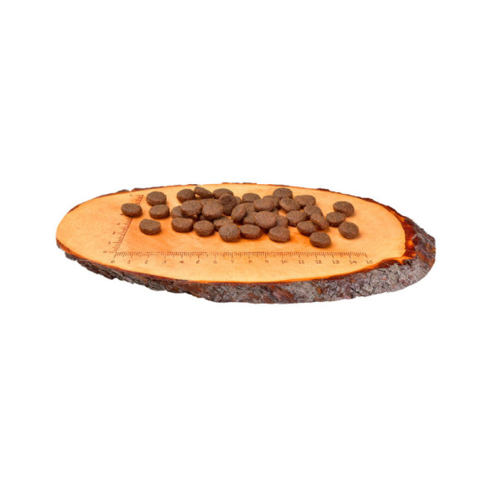 Сухий корм для собак Carnilove Puppy Large Breed Salmon and Turkey 1.5 кг (8595602508853)