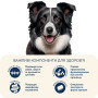 Сухий корм для собак Home Food ADULT MEDIUM/MAXI For active adult and junior dogs з ягням та рисом 10 кг (4820235020453) Сухий корм для собак Home Food ADULT MEDIUM/MAXI For active adult and junior dogs з ягням та рисом 10 кг (4820235020453)
