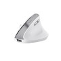 Мишка Trust Bayo II Ergonomic Wireless White (25398) Мишка Trust Bayo II Ergonomic Wireless White (25398)