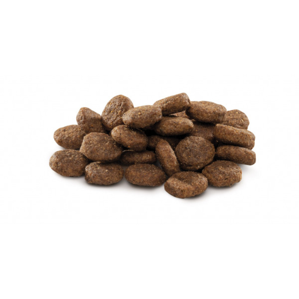 Сухий корм для собак Brit Premium Dog Junior L 15 кг (8595602526437)