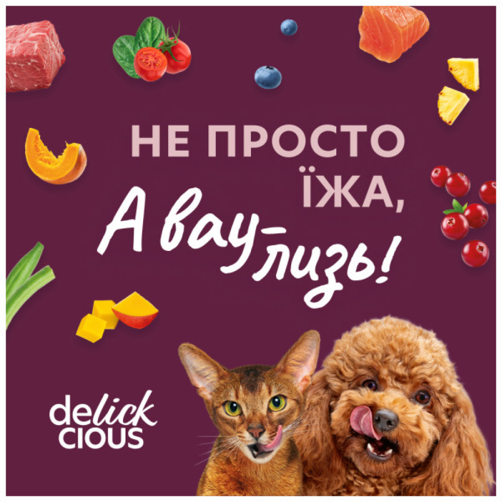 Вологий корм для кішок Delickcious Суп з курки з шинкою та додаванням шпинату 80 г (4820269141599)