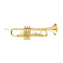Труба Maxtone TTC30L (TTC1C) Труба Maxtone TTC30L (TTC1C)