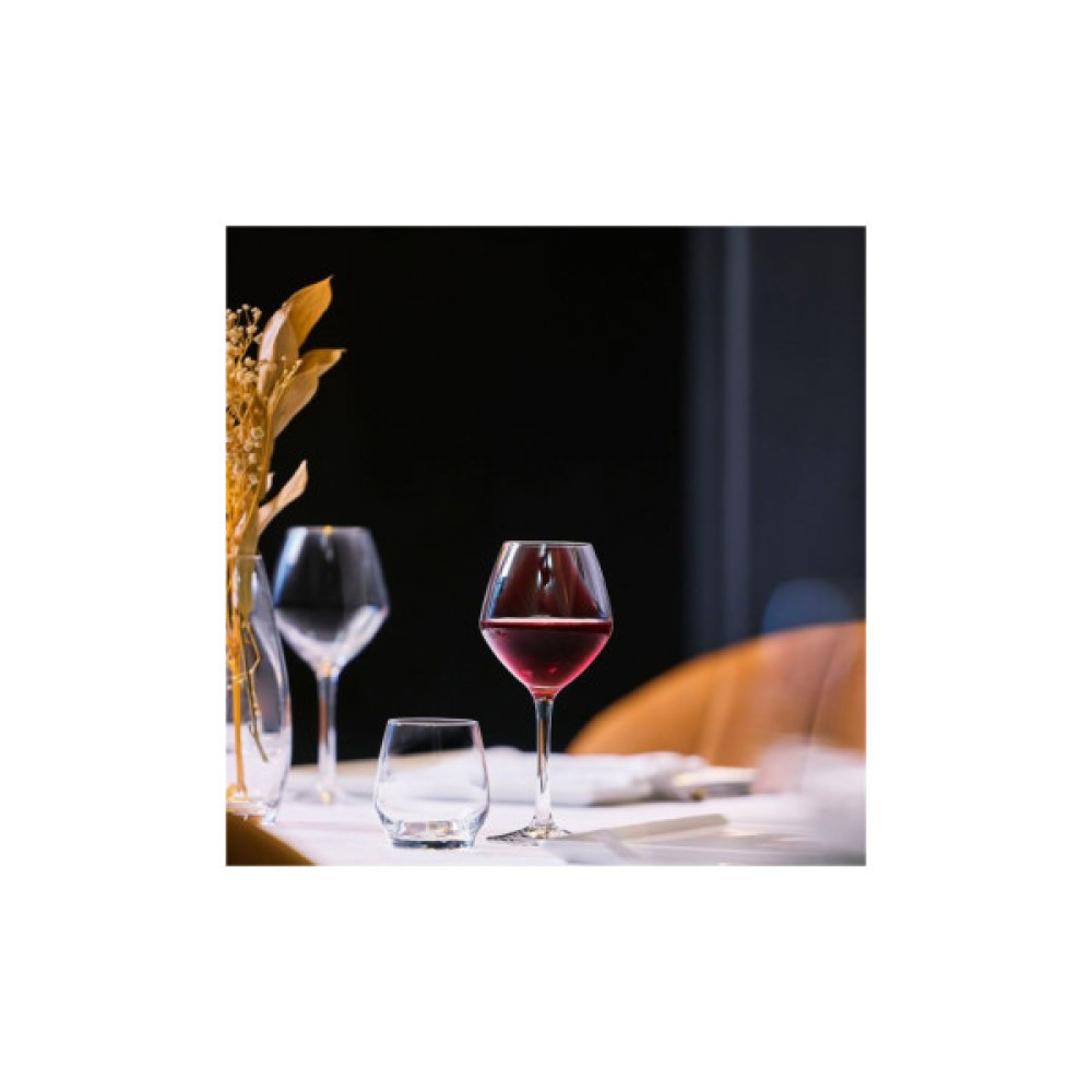 Келих Chef & Sommelier серія "Cabernet Vins Jeunes" 580 мл (E2789)