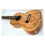 Укулеле Parksons UK-24FS Укулеле Parksons UK-24FS