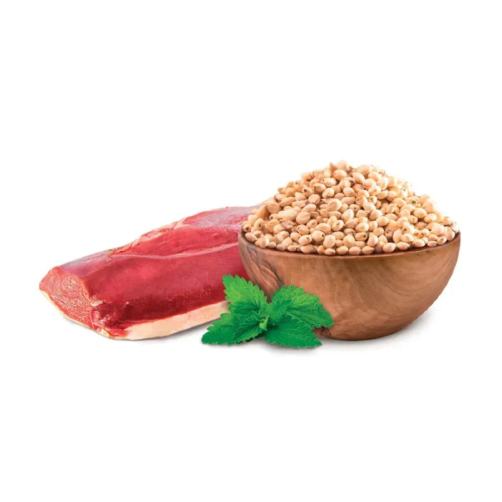 Сухий корм для собак Home Food ADULT MEDIUM/MAXI Grain-free hypoallergenic з качкою та нутом 1.6 кг (4820235021351)