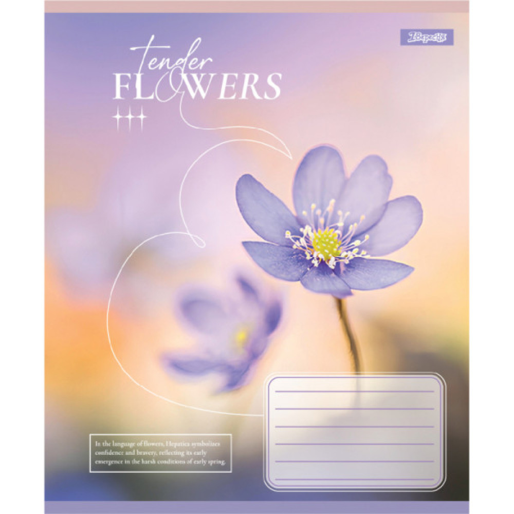 Зошит 1 вересня Tender Flowers А5 36 аркушів лінія (768079)