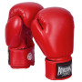 Боксерські рукавички PowerPlay 3004 14oz Red (PP_3004_14oz_Red)