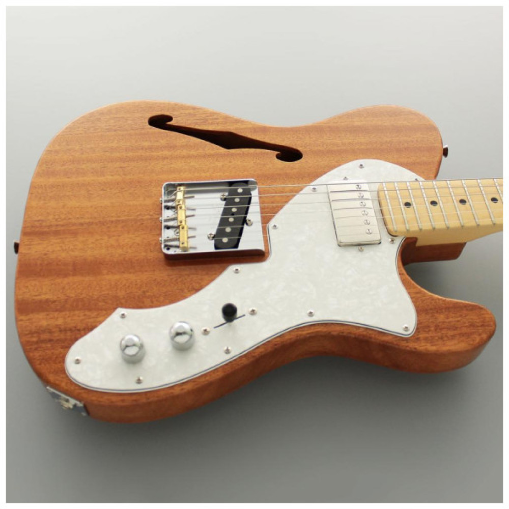 Гітара напівакустична FGN Neo Classic Natural (NTE110MMHT-NT)