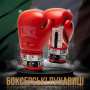 Боксерські рукавички Leone GN208 Iconic Red 14 унцій (GN208_Red_14oz) Боксерські рукавички Leone GN208 Iconic Red 14 унцій (GN208_Red_14oz)