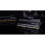 Модуль пам'яті для комп'ютера DDR5 32GB (2x16GB) 6000 MHz Trident Z5 Neo G.Skill (F5-6000J3636F16GX2-TZ5N) Модуль пам'яті для комп'ютера DDR5 32GB (2x16GB) 6000 MHz Trident Z5 Neo G.Skill (F5-6000J3636F16GX2-TZ5N)