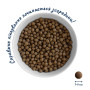 Сухий корм для собак Home Food ADULT MINI Hypoallergenic з фореллю та рисом 700 г (4820235020293) Сухий корм для собак Home Food ADULT MINI Hypoallergenic з фореллю та рисом 700 г (4820235020293)