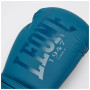 Боксерські рукавички Leone GN058 Tone X Teal 14 oz (GN058_Teal_14oz)