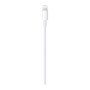 Дата кабель USB-C to Lightning 1.0m Model A2561 Apple (MUQ93ZM/A) Дата кабель USB-C to Lightning 1.0m Model A2561 Apple (MUQ93ZM/A)