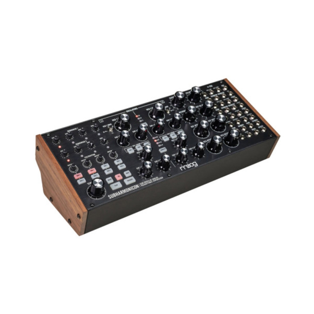 Синтезатор Moog Music Subharmonicon (231306)