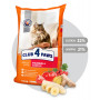 Сухий корм для кішок Club 4 Paws Преміум. З ефектом виведення шерсті 14 кг (4820083909337) Сухий корм для кішок Club 4 Paws Преміум. З ефектом виведення шерсті 14 кг (4820083909337)
