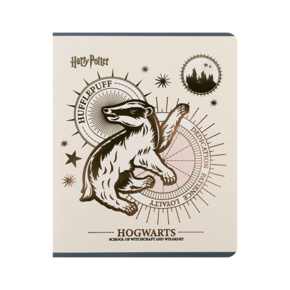 Зошит Kite Harry Potter, 48 аркушів, клітинка (HP25-259)