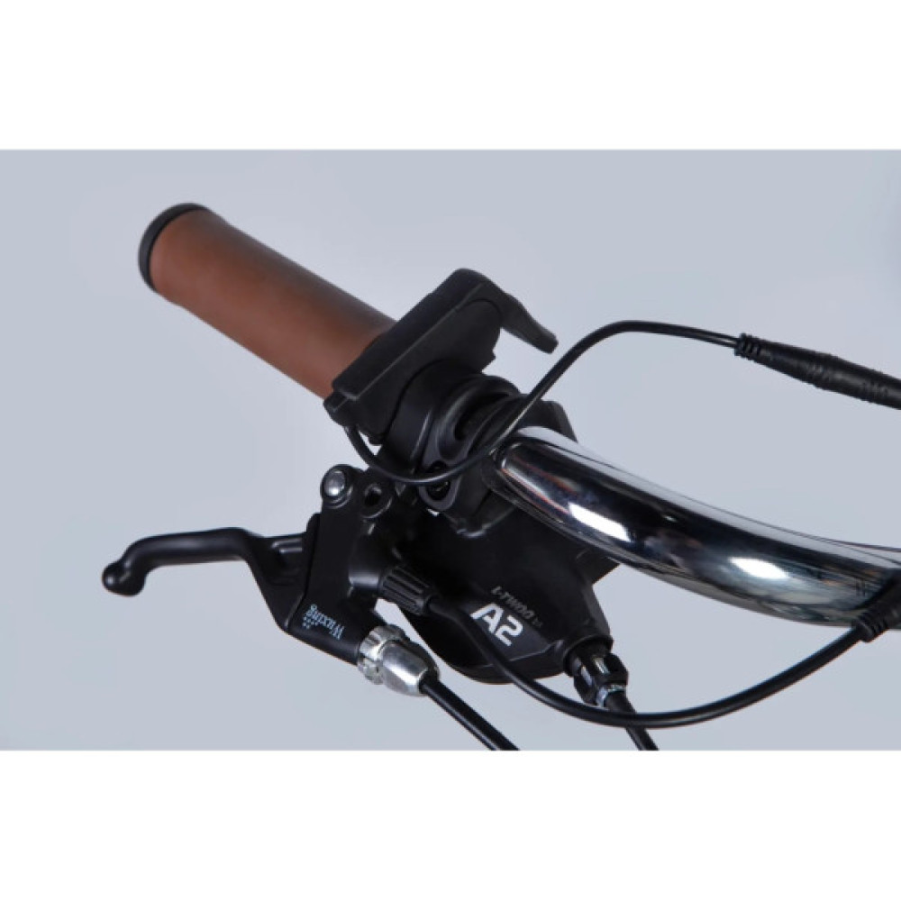 Електровелосипед Dorozhnik 28" eRETRO Vbr FR рама-19" 36B 13А*г 500Вт 2026 зелено-сірий (ELB-D-28-111)