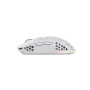 Мишка Trust GXT 929 Helox Wireless/USB-A White (25390) Мишка Trust GXT 929 Helox Wireless/USB-A White (25390)
