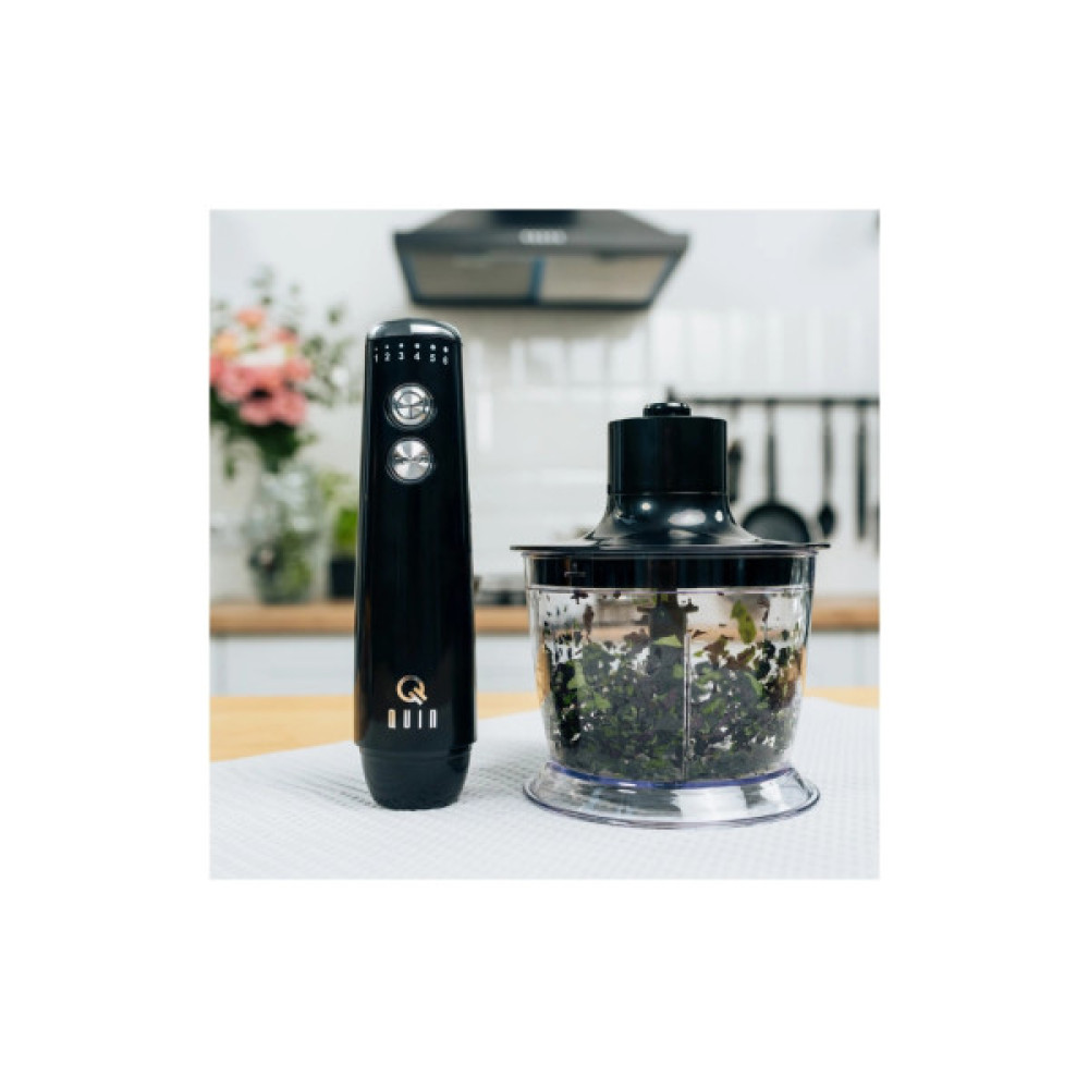 Блендер QUIN HB-103