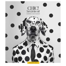 Зошит Школярик Fashion chic 36 аркушів клітинка (036-3458K)