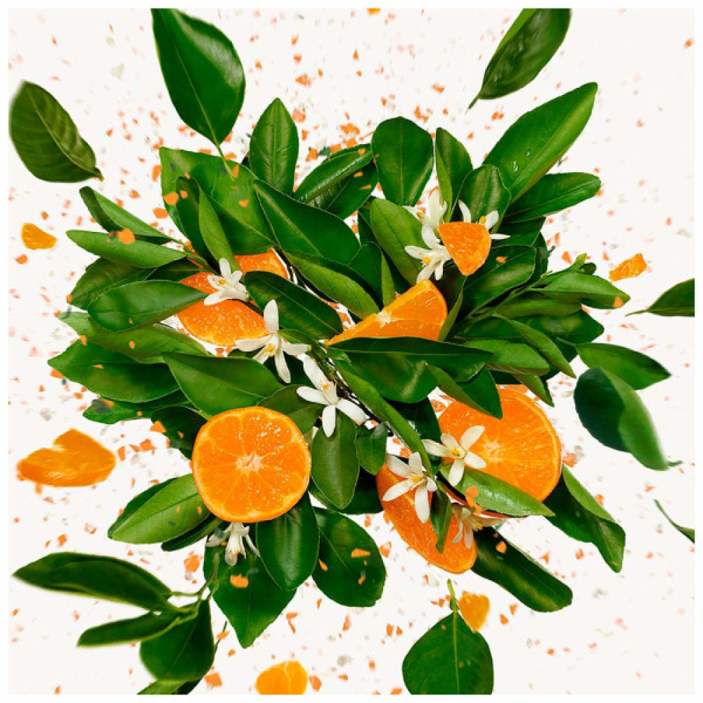 Парфумована вода Gucci Flora Gorgeous Jasmine 100 мл (3616303048181)