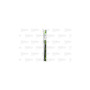Щітка склоочисника Valeo 575535