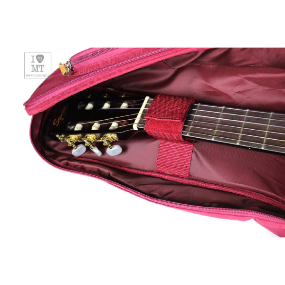 Чохол для гітари Ibanez ICB541 WR (225789)