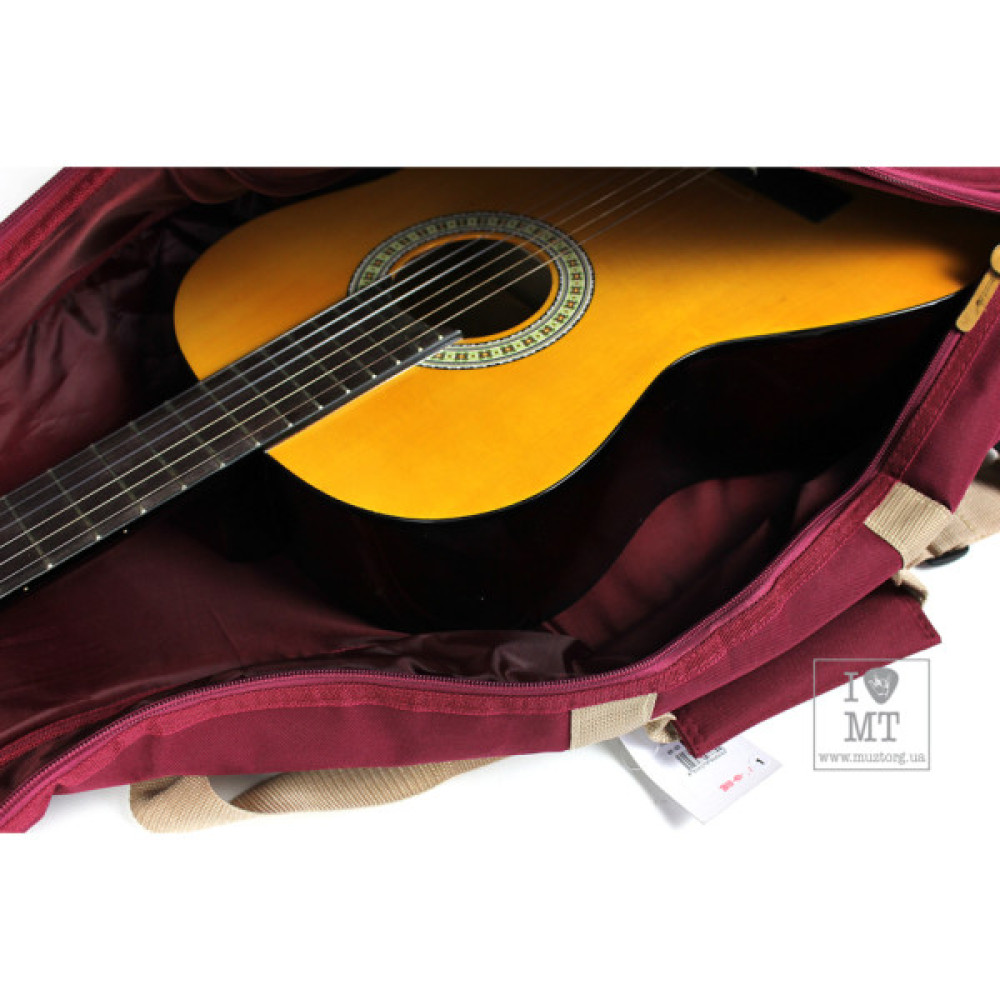 Чохол для гітари Ibanez ICB541 WR (225789)