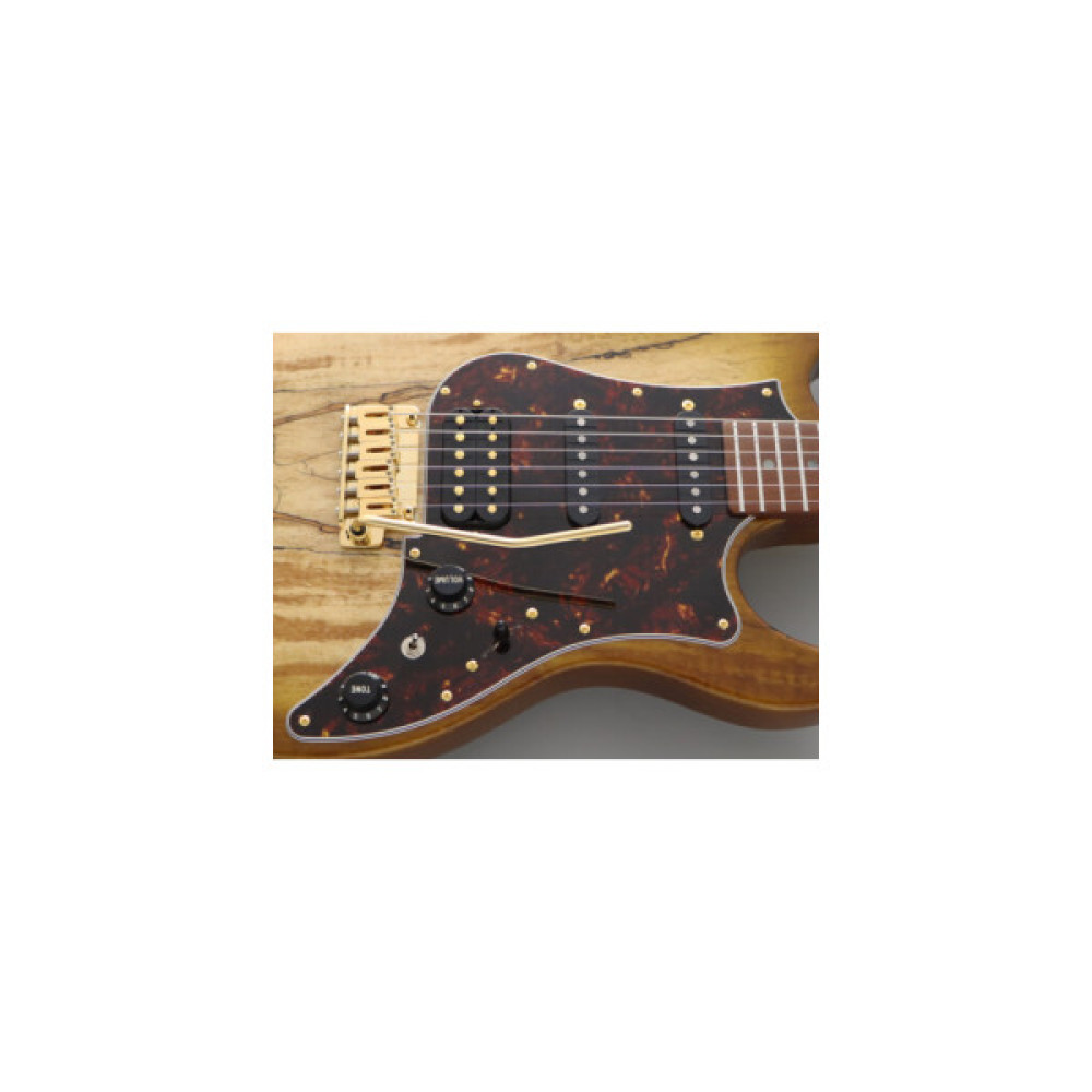 Електрогітара FGN Odyssey Expert Series Hojicha Burst (EOS2-EW1-RM/HCB)