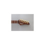 Електрогітара FGN Odyssey Expert Series Hojicha Burst (EOS2-EW1-RM/HCB)