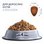 Сухий корм для кішок Club 4 Paws Преміум. З лососем 14 кг (4820083909238) Сухий корм для кішок Club 4 Paws Преміум. З лососем 14 кг (4820083909238)