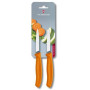 Набір ножів Victorinox SwissClassic, 8см, 2шт. в блистере, оранжевые (6.7606.L119B) Набір ножів Victorinox SwissClassic, 8см, 2шт. в блистере, оранжевые (6.7606.L119B)
