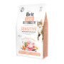 Сухий корм для кішок Brit Care Cat GF Sensitive HDigestion and Delicate Taste 2 кг (8595602540709) Сухий корм для кішок Brit Care Cat GF Sensitive HDigestion and Delicate Taste 2 кг (8595602540709)