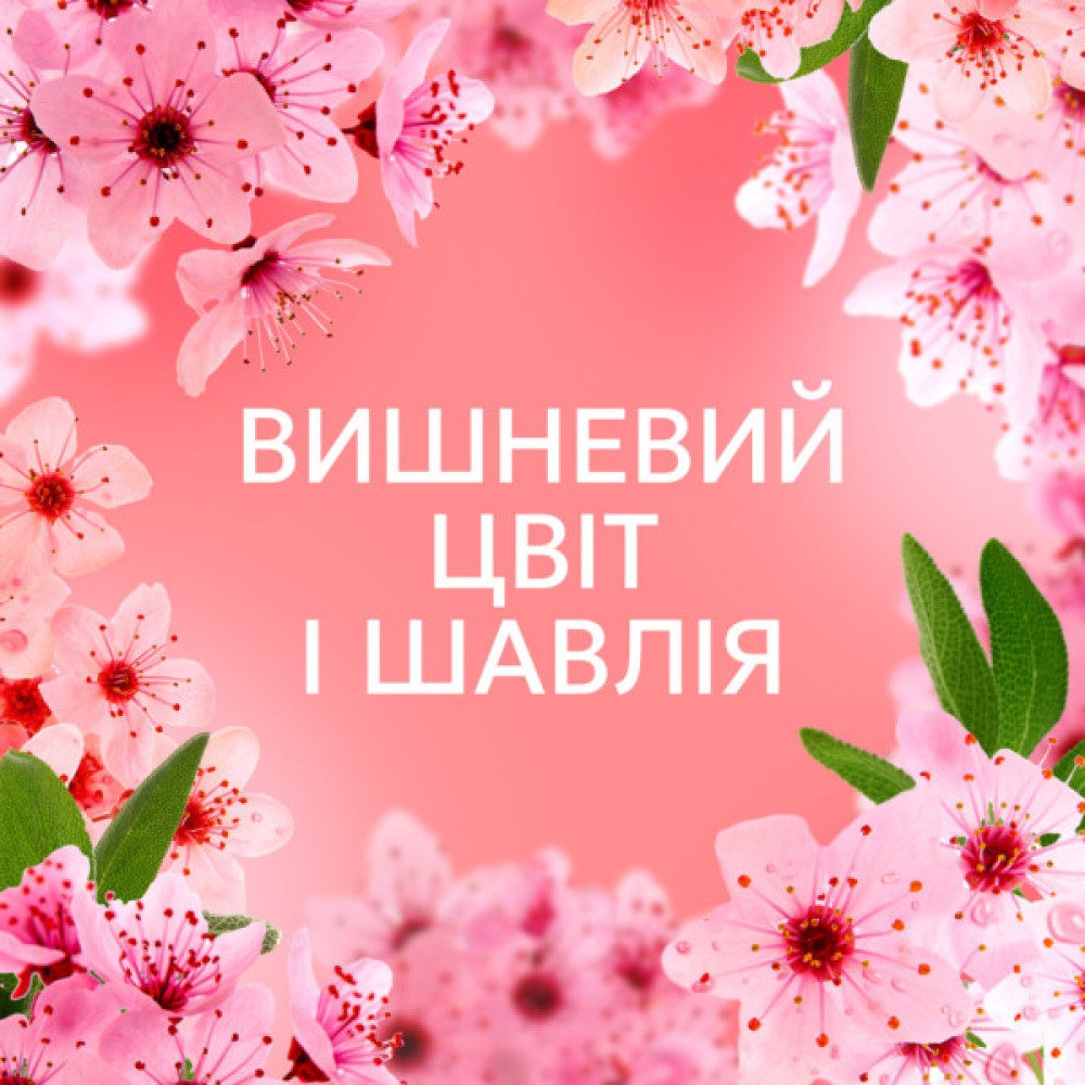 Кондиціонер для білизни Lenor Вишневий цвіт та шавлія 675 мл (8700216723657)