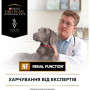 Вологий корм для собак Purina Pro Plan Veterinary Diets NF Renal Function Мус при хронічній хворобі нирок 195 г (7613287862365) Вологий корм для собак Purina Pro Plan Veterinary Diets NF Renal Function Мус при хронічній хворобі нирок 195 г (7613287862365)