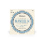 Струни для гітари D'Addario Mandolin 80/20 Bronze Light (10-34) (EJ62)