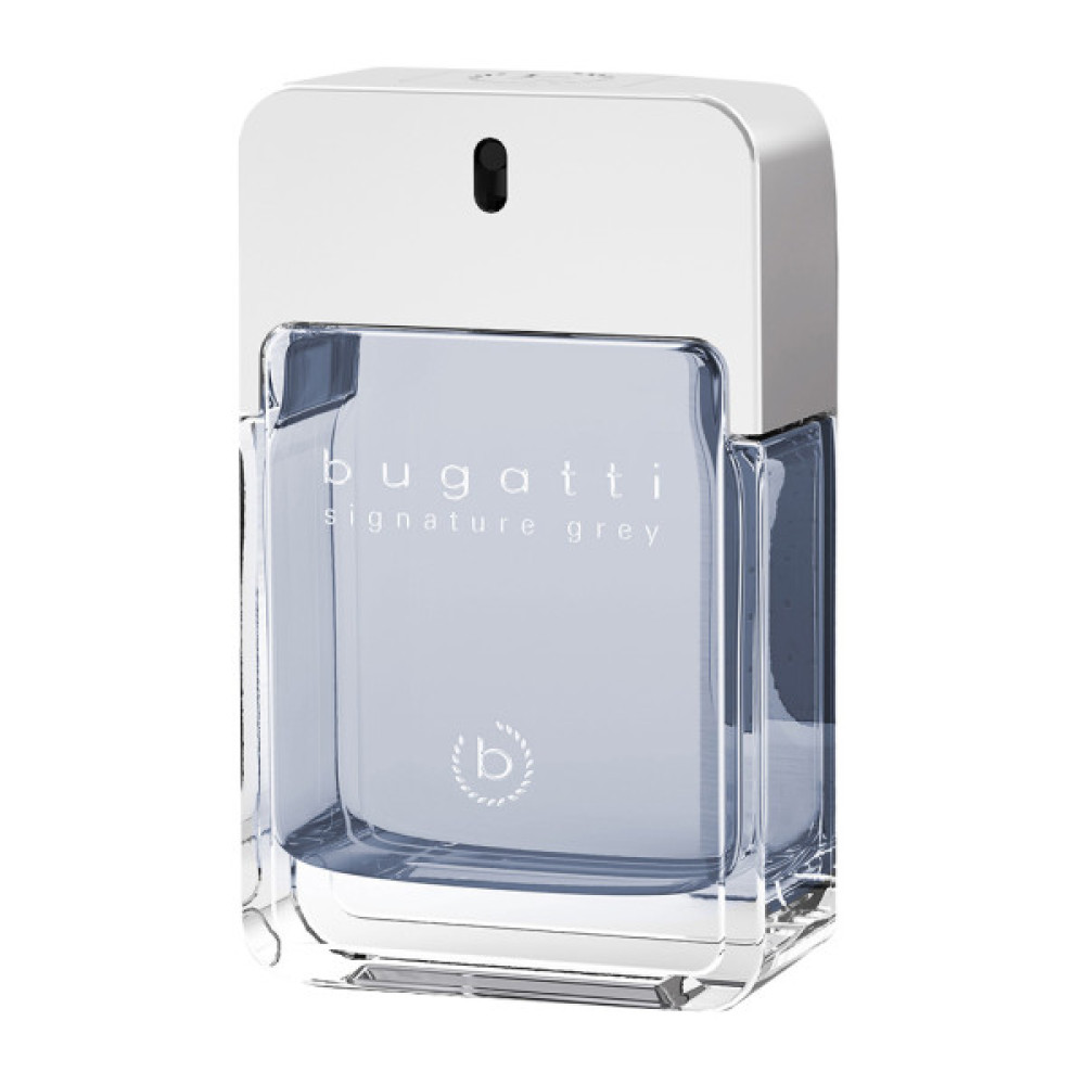Туалетна вода Bugatti Signature Grey 100 мл (4051395402197)