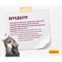 Сухий корм для кішок Josera Senior 400 г (4032254757818) Сухий корм для кішок Josera Senior 400 г (4032254757818)