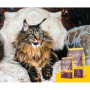 Сухий корм для кішок Josera Senior 400 г (4032254757818) Сухий корм для кішок Josera Senior 400 г (4032254757818)