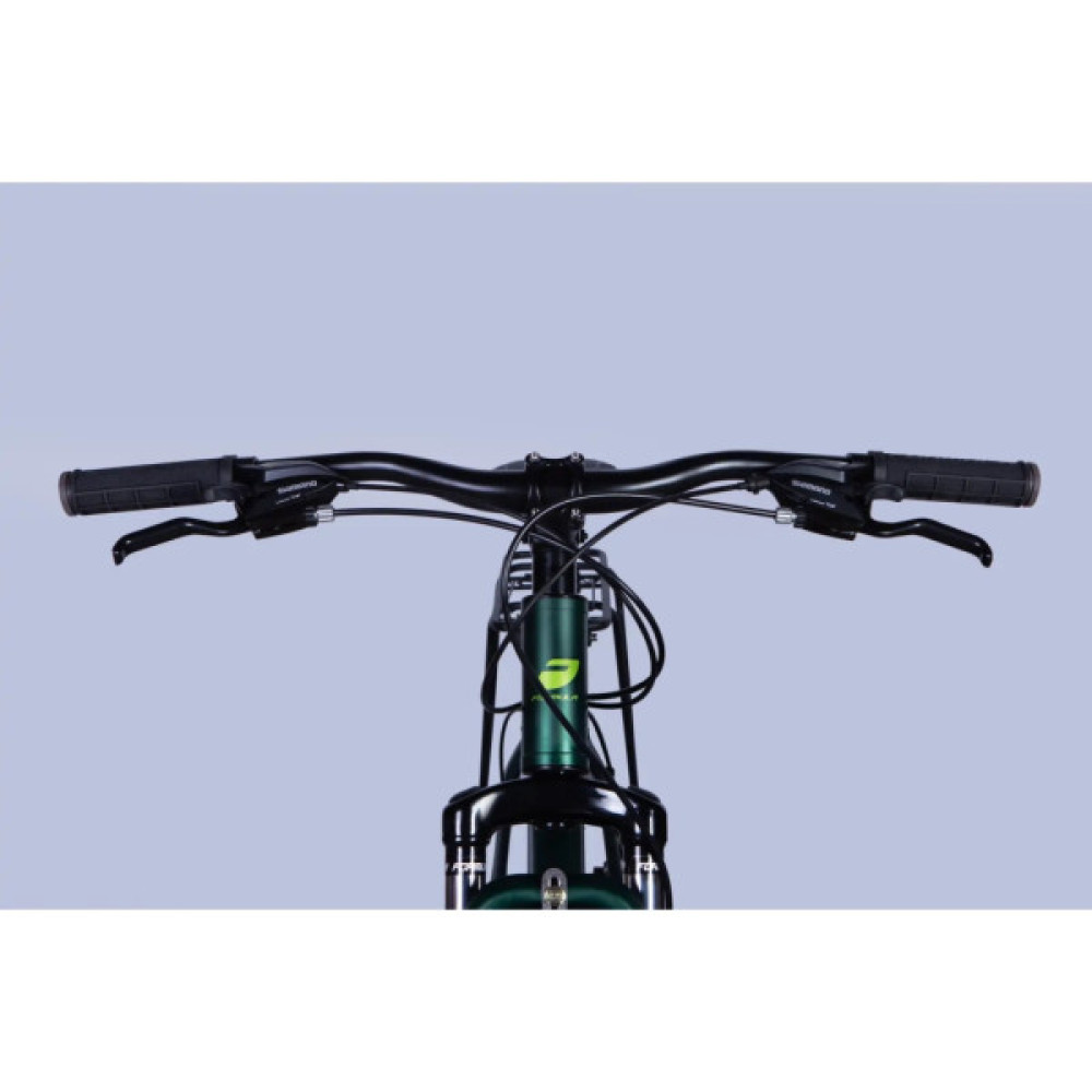 Велосипед Formula 29" MOTION PLUS DD FR рама-19" AL 2026 зелений (OPS-FR-29-428)